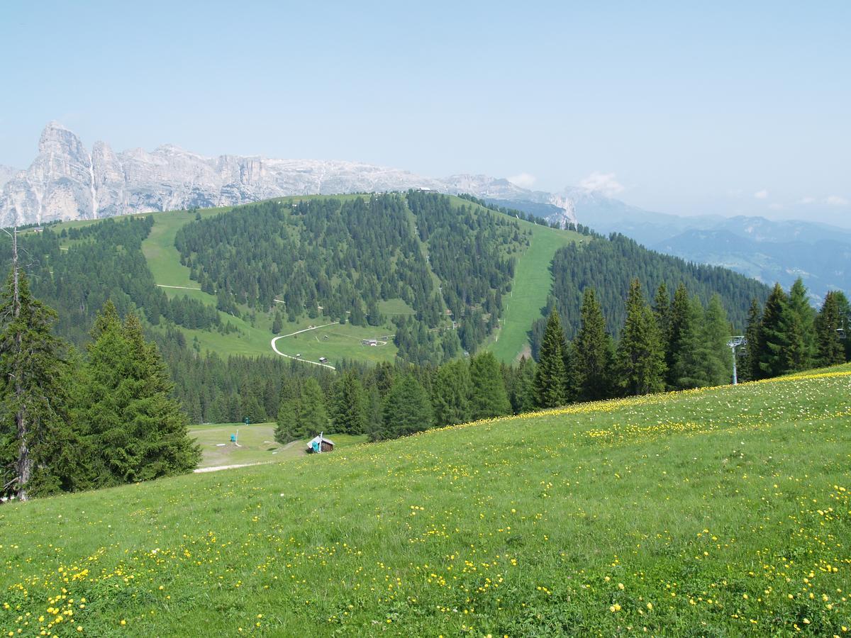 Residence Vajolet San Cassiano Екстер'єр фото