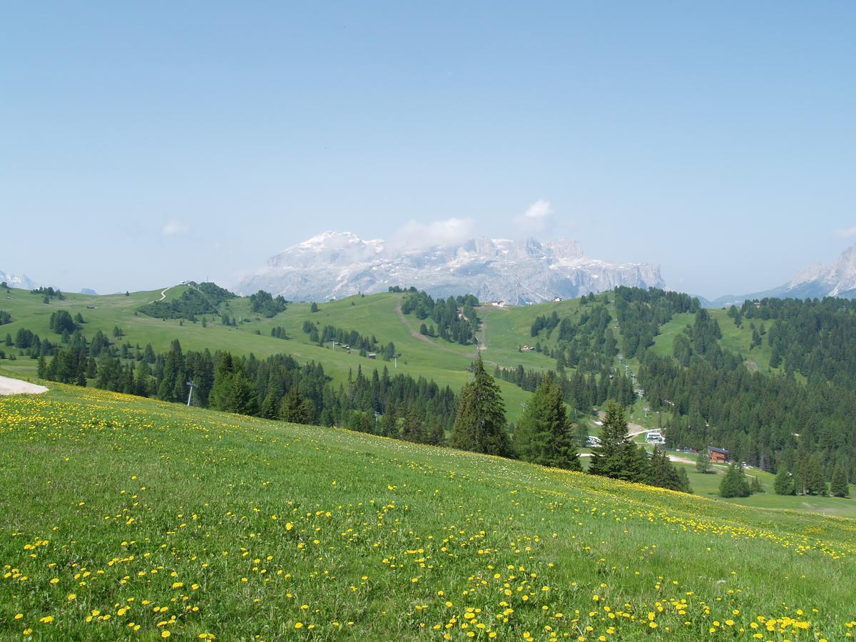 Residence Vajolet San Cassiano Екстер'єр фото